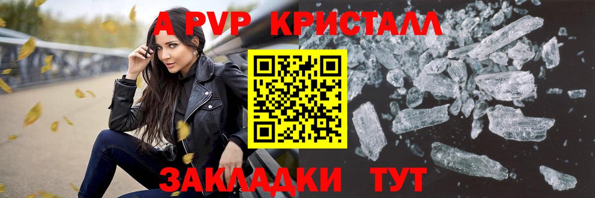 Альфа ПВП СК Владивосток