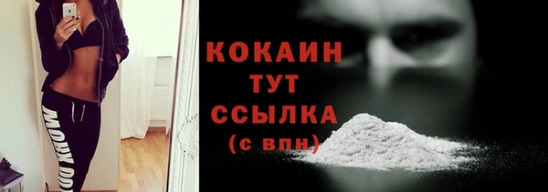 ECSTASY Няндома