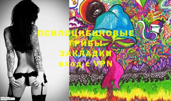 марки nbome Новозыбков