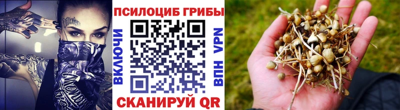 mega ТОР  Владивосток  Псилоцибиновые грибы ЛСД 