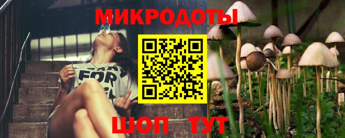 Галлюциногенные грибы GOLDEN TEACHER  Галлюциногенные грибы мицелий  наркошоп  Владивосток 